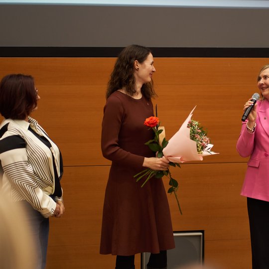 Iliustracija