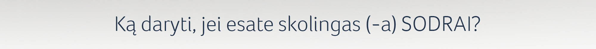 SkolaNeNuosprendis_siauri_pataisytas.png